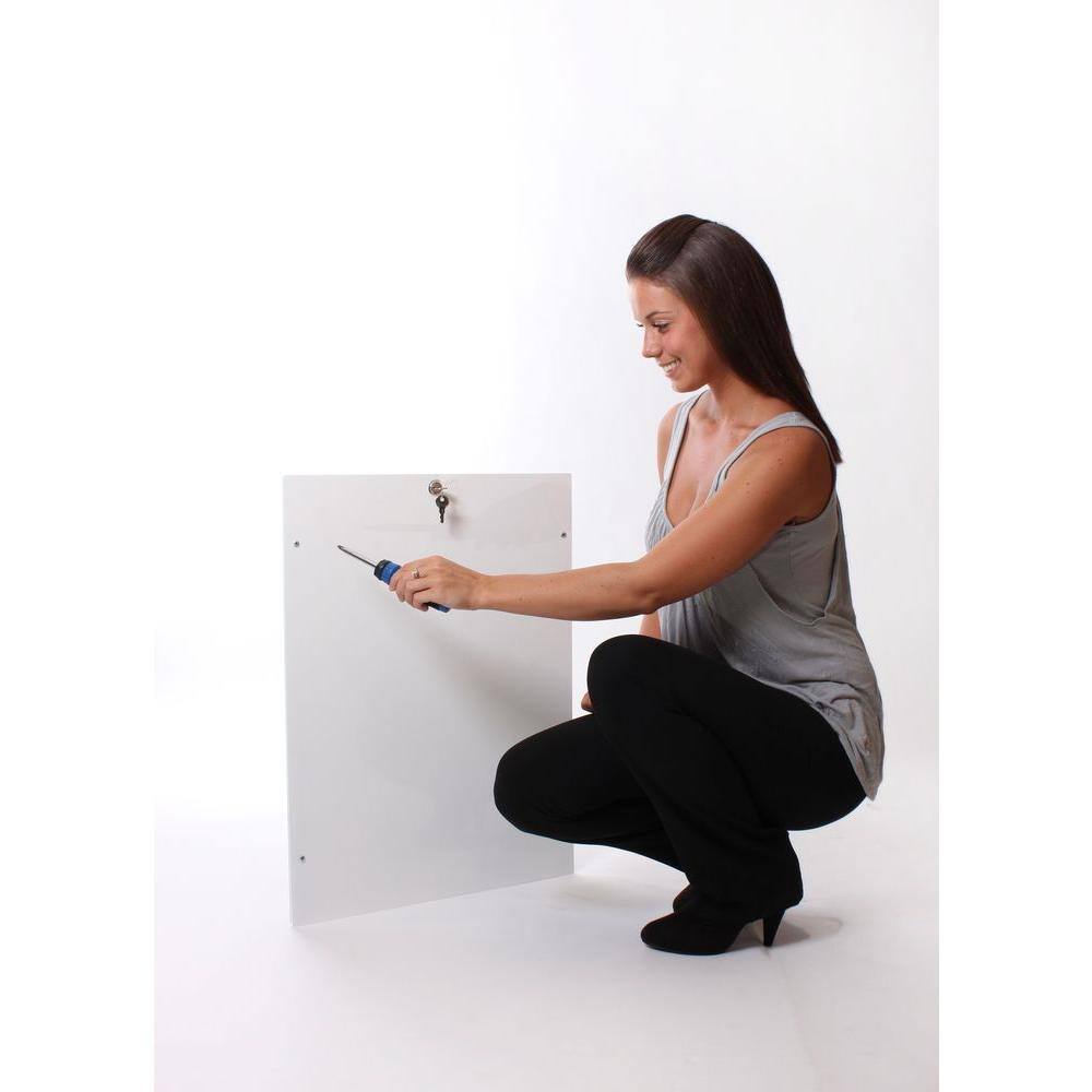 PlexiDor Performance Pet Doors 11-3/4 in. x 16 in. Door Mount Silver Large Dog Door
