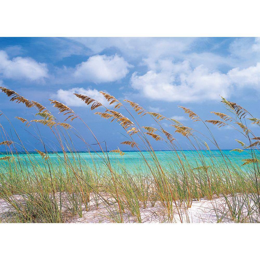 National Geographic Ocean Breeze Wall Mural