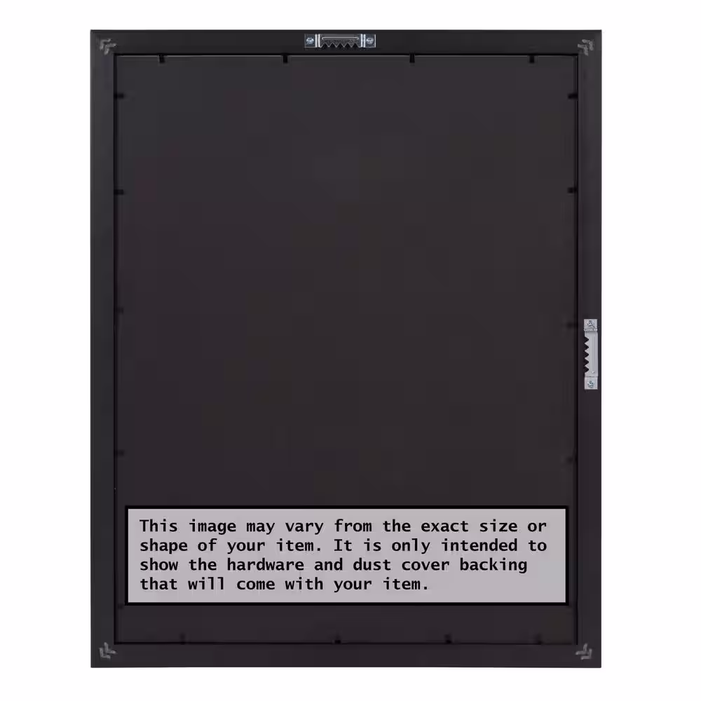 Amanti Art Lyla Ornate Silver Picture Frame Opening Size 24 x 36 in.