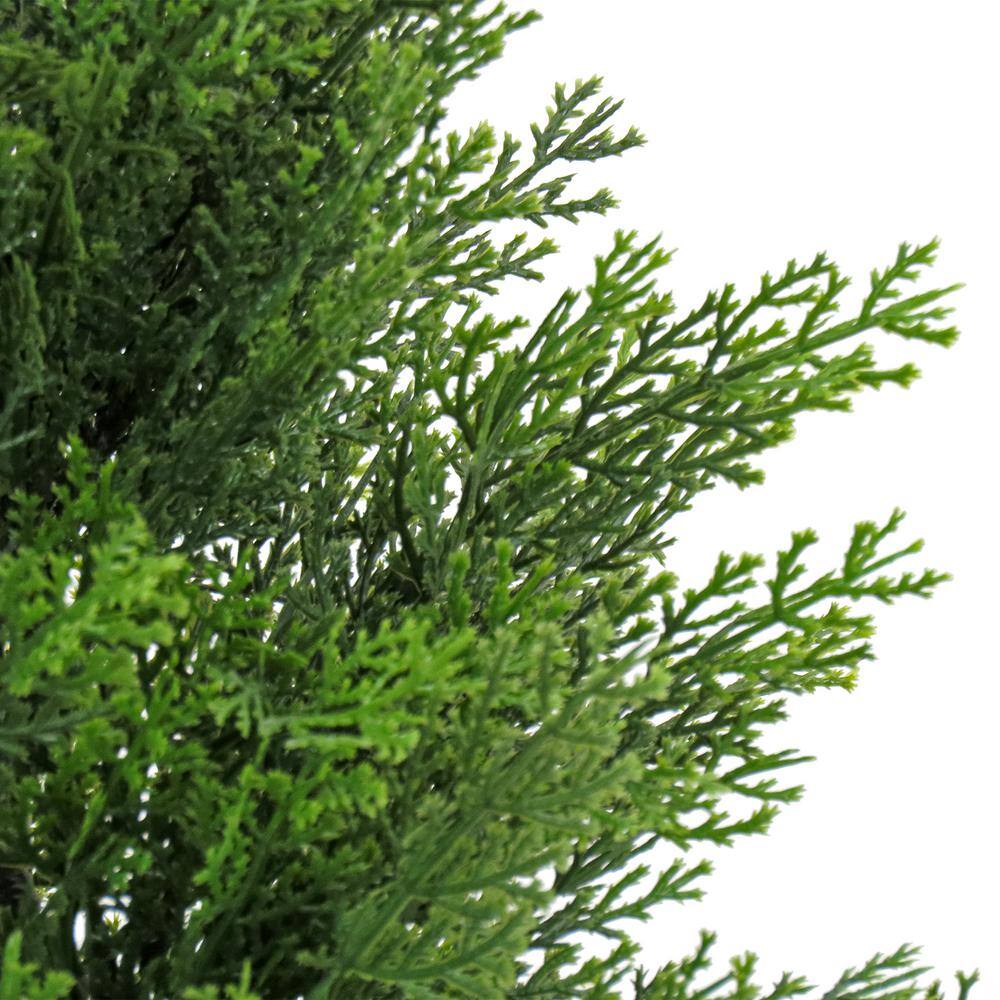 National Tree Company 38